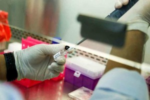 ELLITORAL_348774 |  Imagen ilustrativa