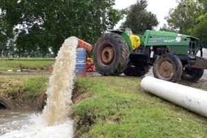 ELLITORAL_275932 |  Gentileza FM Power Max