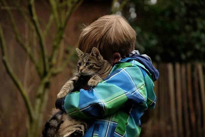 ELLITORAL_373056 |  Imagen ilustrativa Los niños y su profundo amor por las mascotas.