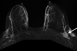 ELLITORAL_360170 |  Captura de pantalla