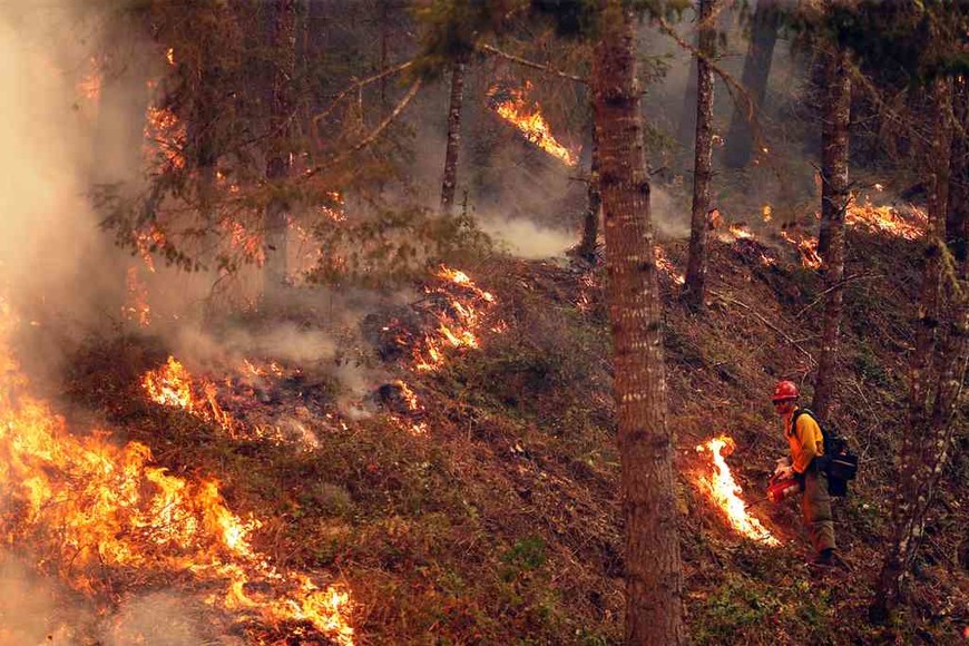 ELLITORAL_323923 |  Twitter