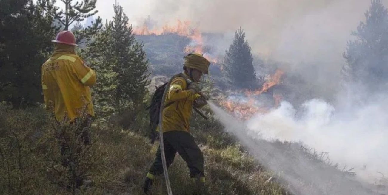 Río Negro y Catamarca mantienen incendios forestales activos