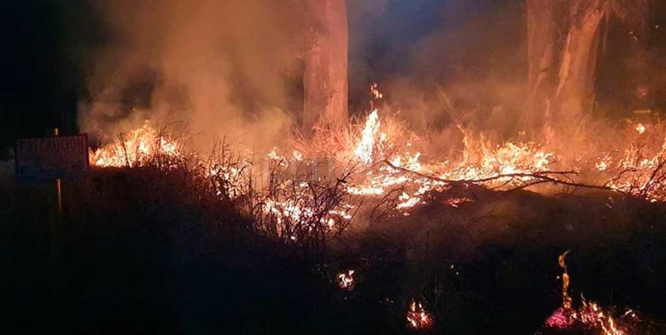 La zona rural de Matilde fue afectada por el fuego