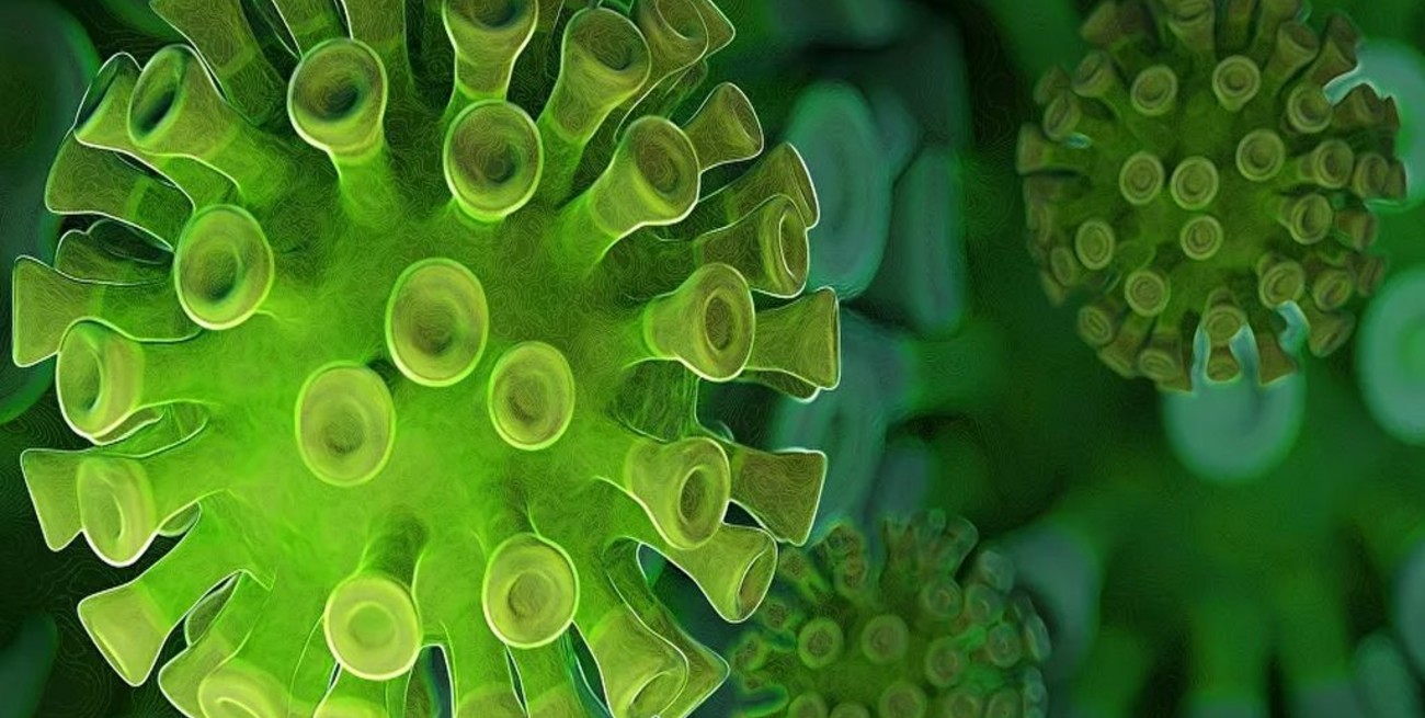 Coronavirus: la memoria genética podría explicar los casos asintomáticos