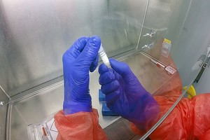 Archivo Researchers work on a tube containing the new coronavirus inside a secure laboratory in microbiology and immunology at the University of Maryland School of Medicine,  (Robert Haupt/University of Maryland School of Medicine)