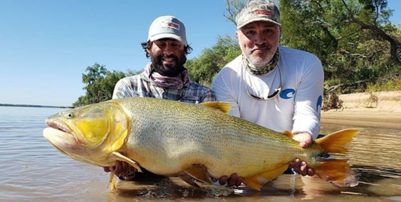 Pescan enorme dorado en el Río Paraná