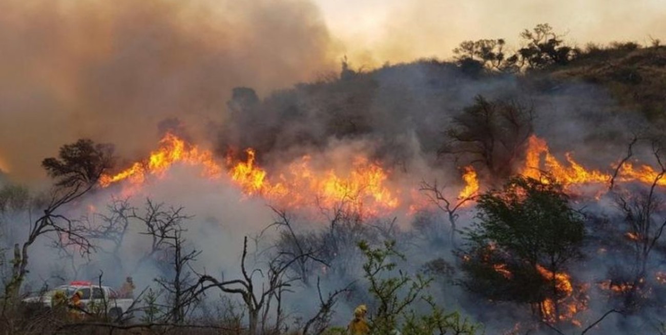 Declaran el estado de desastre agropecuario en Córdoba por incendios
