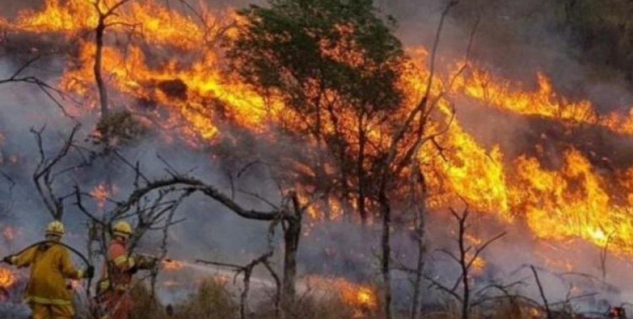 Por las altas temperaturas, advierten un aumento en el riesgo de incendios en Córdoba