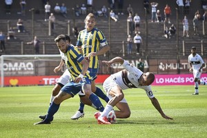 ELLITORAL_411831 |  NA