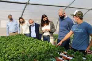 ELLITORAL_394790 |  Gentileza