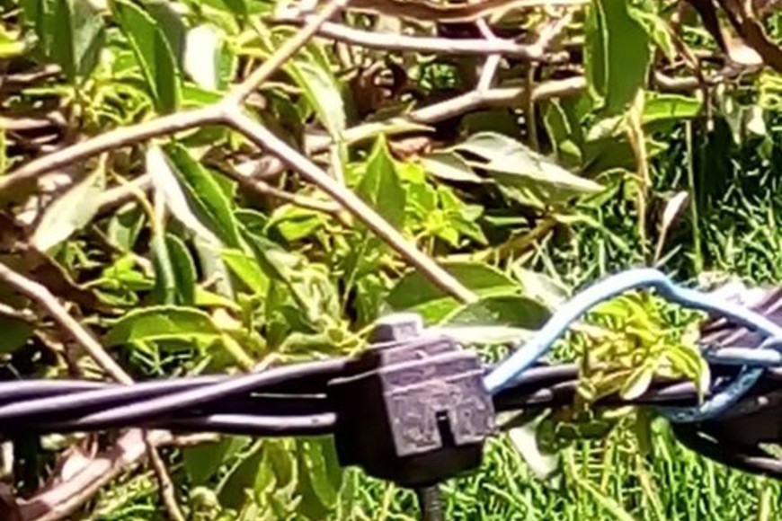 ELLITORAL_341374 |  Gentileza