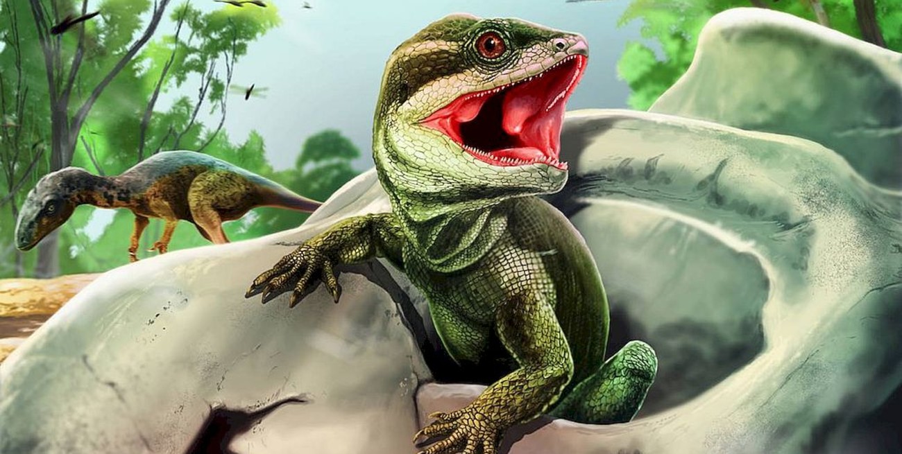 Hallaron en San Juan fósiles de Taytalura alcoberi, el "padre de los lagartos"