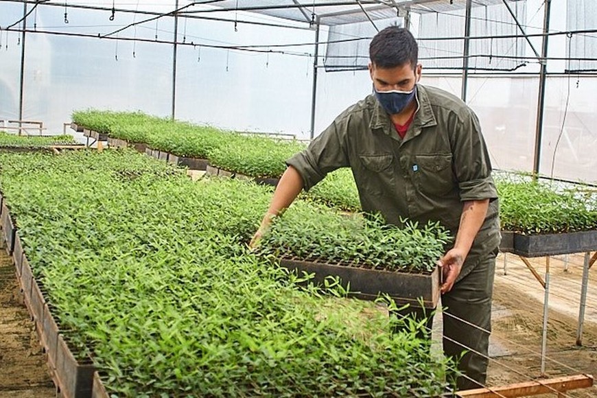 ELLITORAL_343729 |  Captura de pantalla