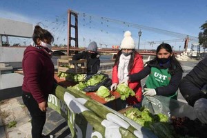 Guillermo Di Salvatore