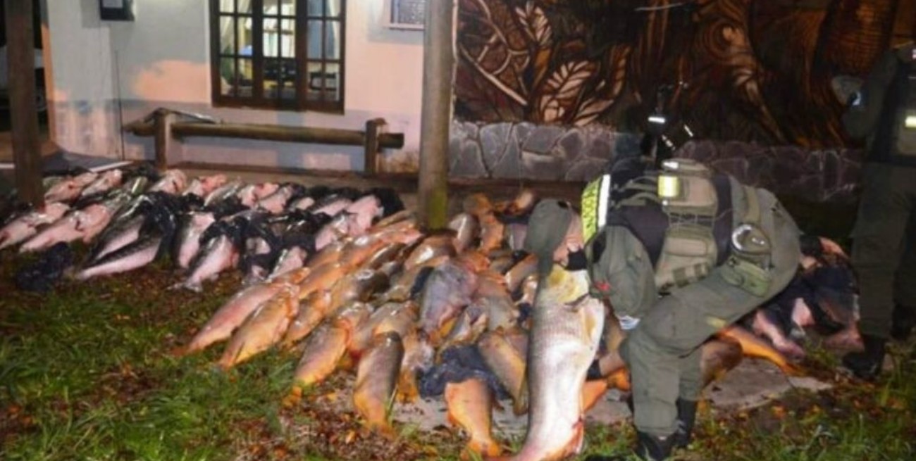 Gendarmería secuestró 200 kilos de pescados