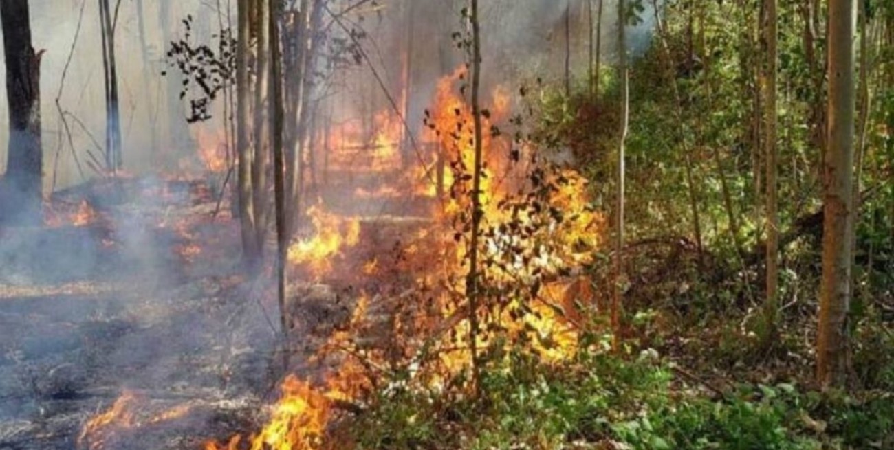 Se registra un solo foco de incendio forestal activo en la localidad de Victoria