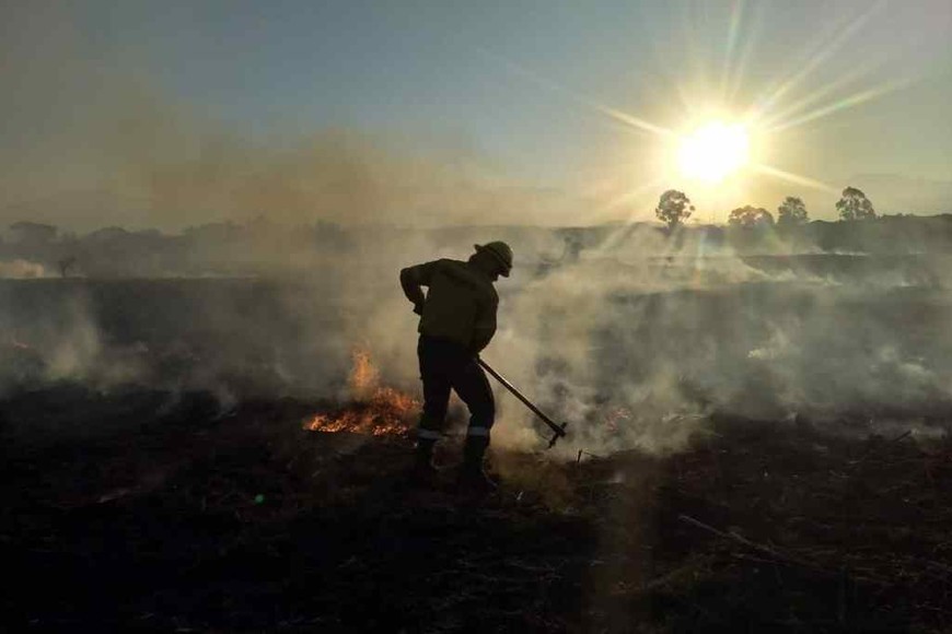 ELLITORAL_337987 |  Gentileza