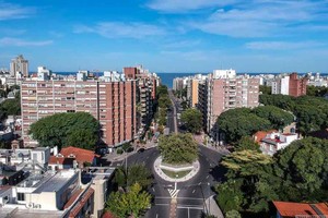 ELLITORAL_294345 |  La Diaria. Vista aérea del ombú, de la avenida Bulevar España, en Montevideo