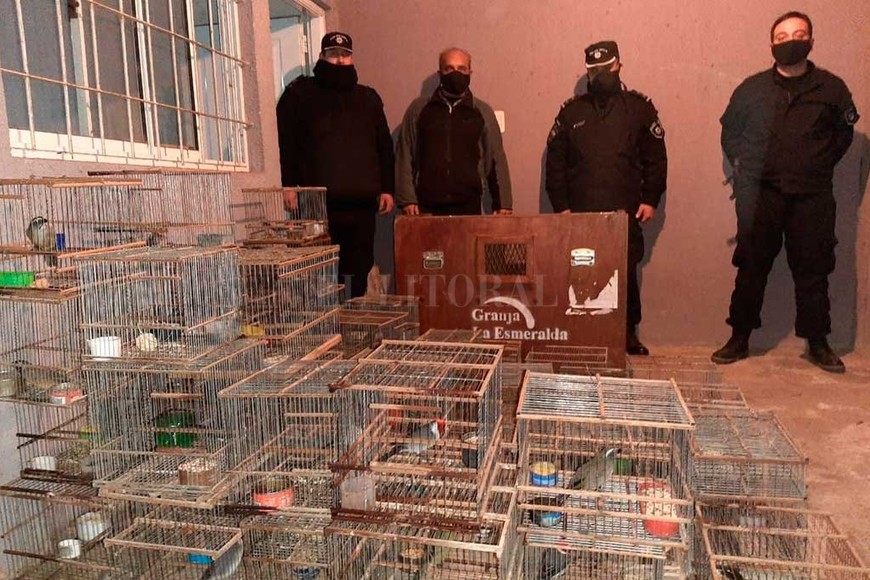 ELLITORAL_313030 |  El Litoral La policía encontró en un domicilio de barrio La Loma 57 aves en cautiverio, pero no las robadas en La Granja.