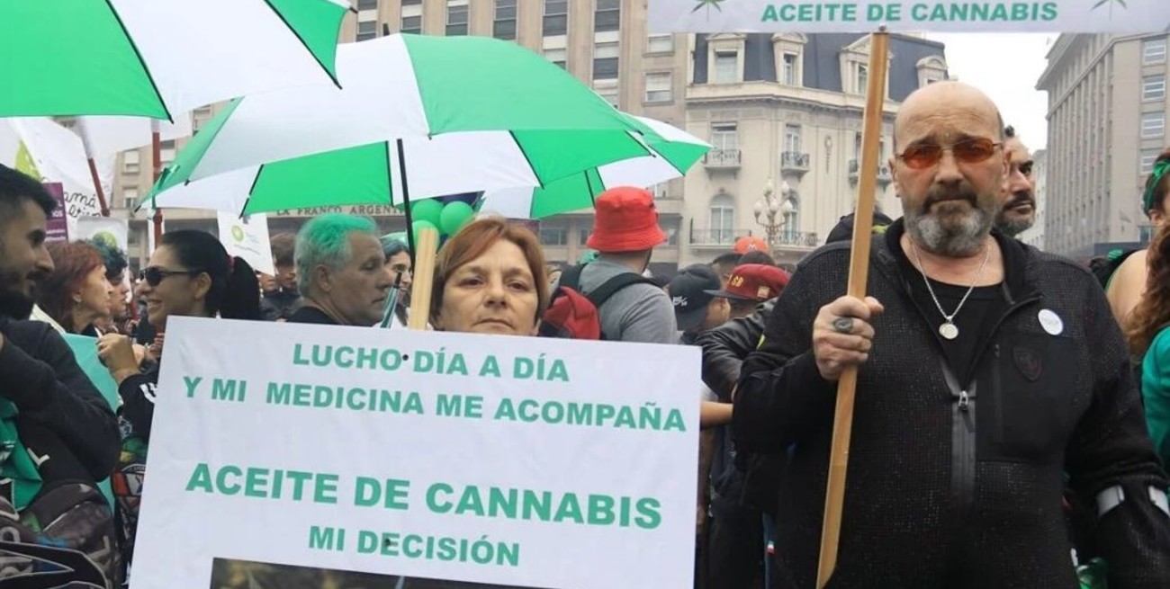 Organizan marcha para pedir por la ley de cannabis medicinal