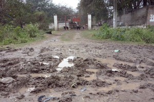 ELLITORAL_131522 |  Gentileza Sociedad Protectora de Animales Desde el asfalto hasta el acceso hay 100 metros de calle de tierra.