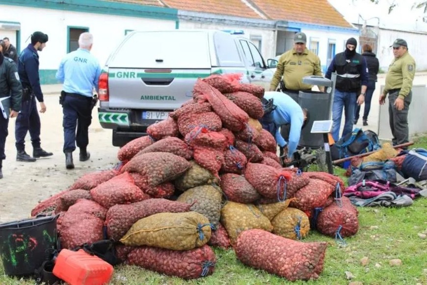 ELLITORAL_393231 |  Gentileza