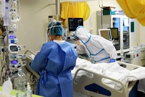 ELLITORAL_325444 |  Gentileza