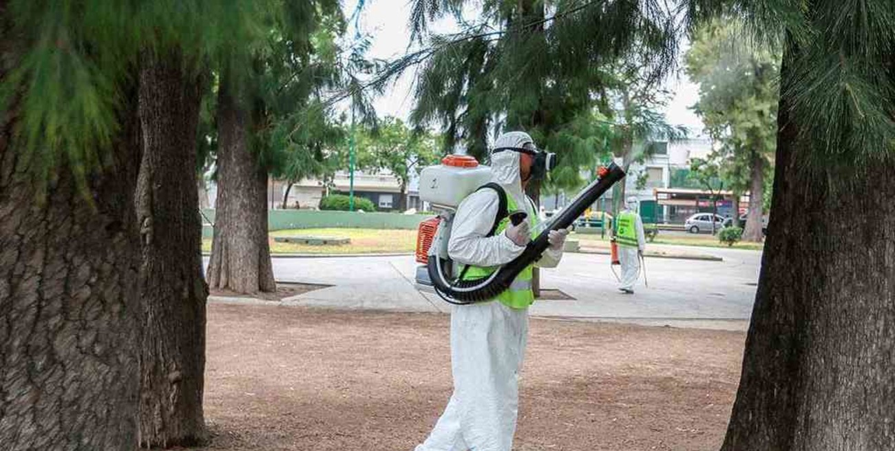 Ya son 13 los casos confirmados de dengue en La Plata