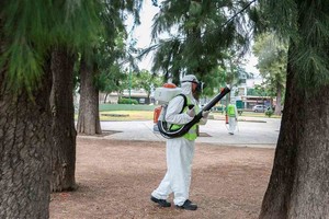 ELLITORAL_287249 |  Gentileza