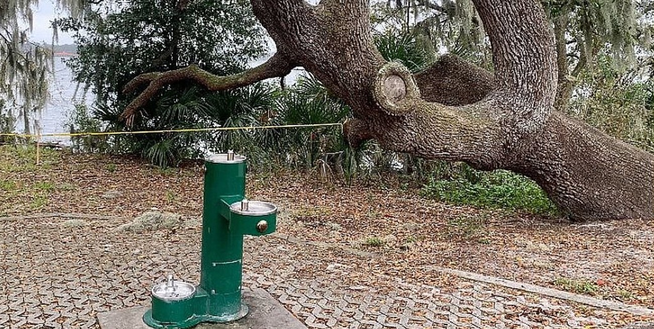 Florida: cierran parte de un parque debido a su "orgía anual de serpientes"