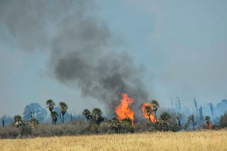 ELLITORAL_331288 |  Télam