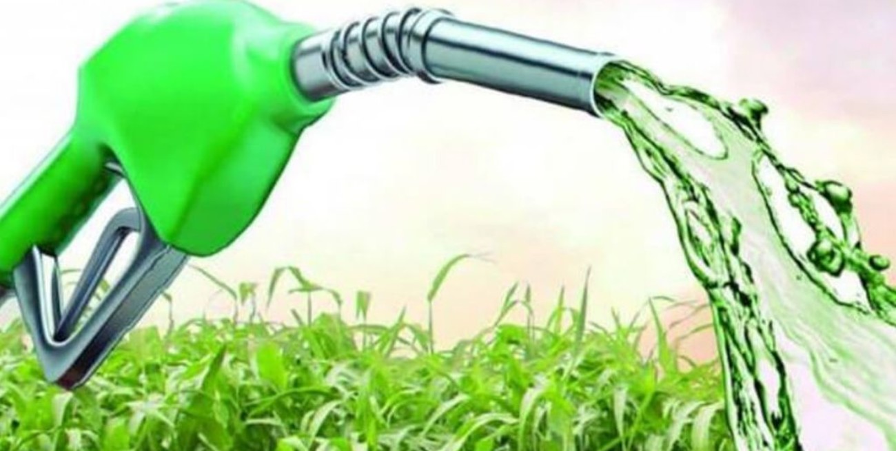 Nuevo marco regulatorio de biocombustibles