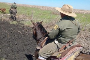 ELLITORAL_378163 |  Archivo - El Litoral El caso está siendo investigado por personal de la Guardia Rural, conocida como  Los Pumas .