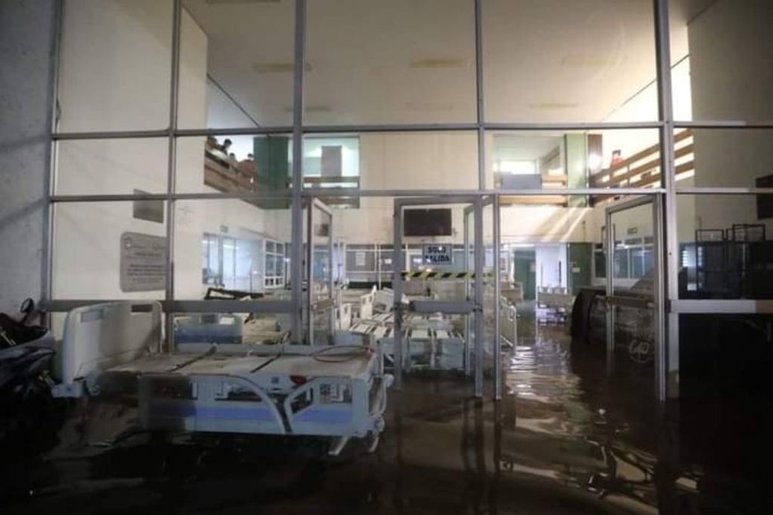 ELLITORAL_388234 |  Gentileza