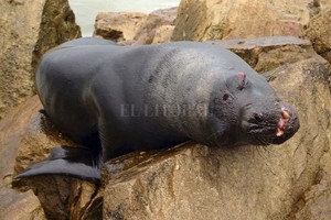 ELLITORAL_357358 |  Archivo El Litoral