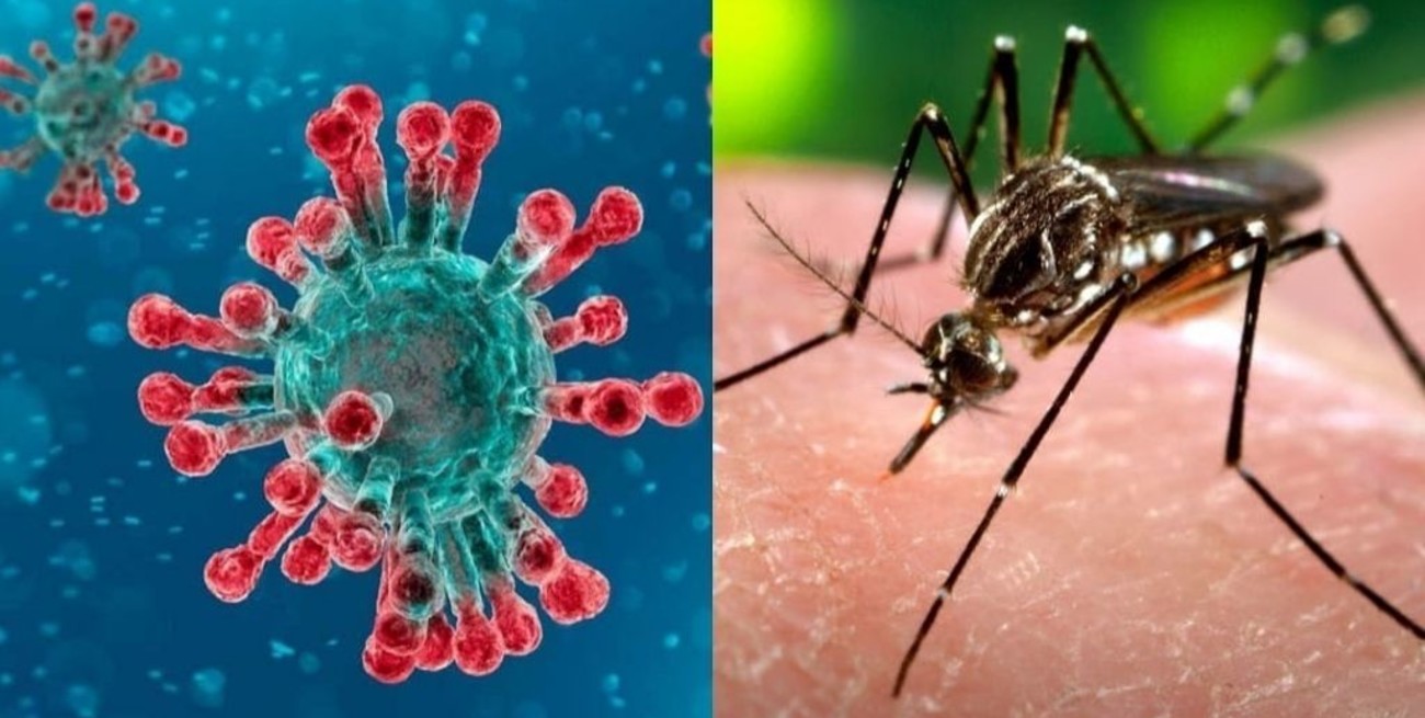 Dengue, el nuevo desafío que enfrenta Bangladesh, además del coronavirus