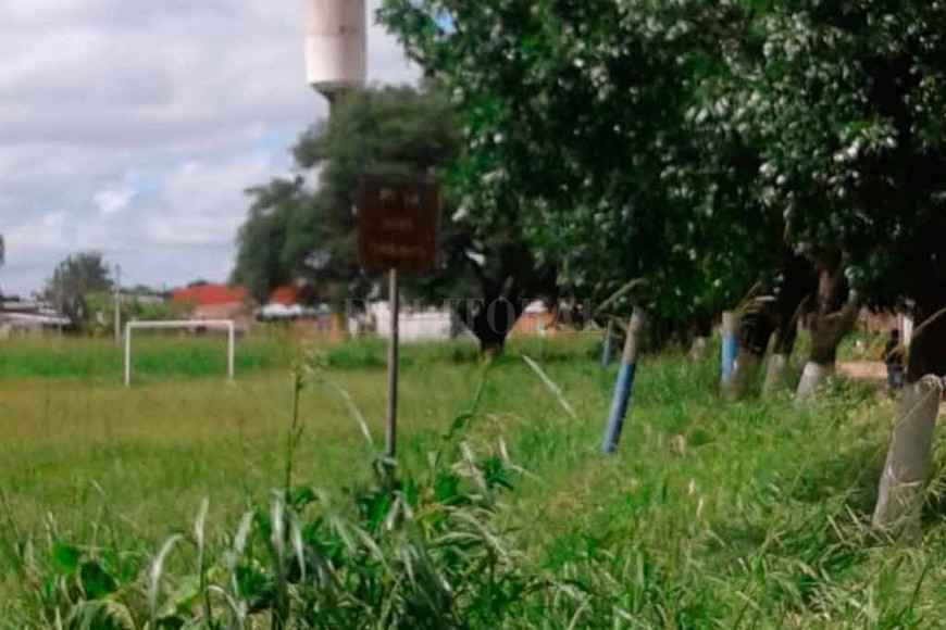 ELLITORAL_235677 | Periodismo Ciudadano / WhatsApp También reclaman por la puesta en condiciones de un espacio público.