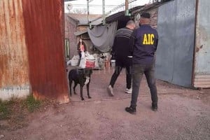 ELLITORAL_393517 |  El Litoral