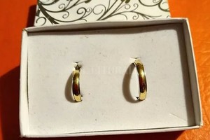 ELLITORAL_318581 |  Captura de pantalla