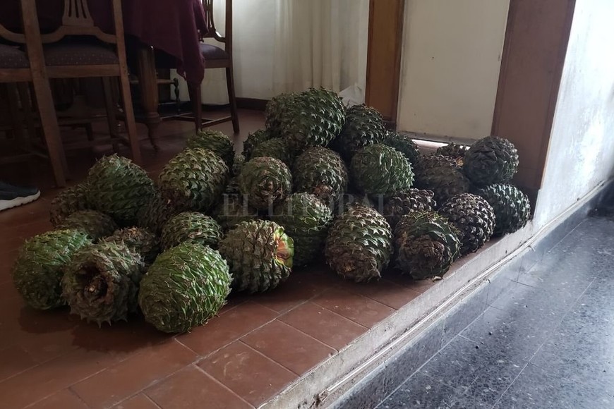 ELLITORAL_284107 |  El Litoral