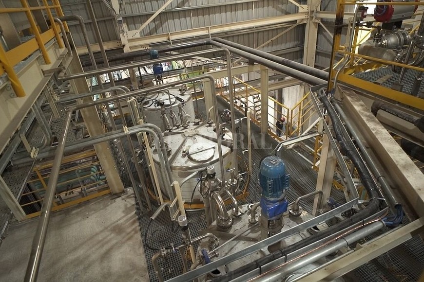 ELLITORAL_415705 |  Gentileza Keclon