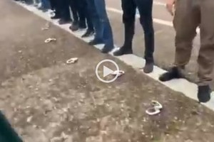 ELLITORAL_307358 |  Captura de pantalla