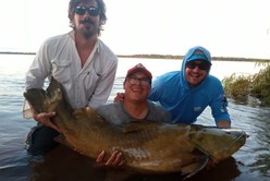 La increíble pesca de un Manguruyú de un metro y medio de largo en el río Paraná