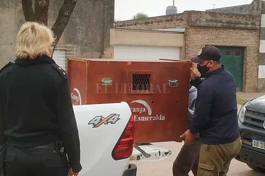 ELLITORAL_315415 |  Gentileza