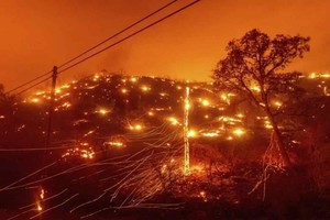 ELLITORAL_320966 |  Gentileza