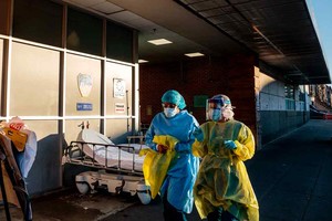 ELLITORAL_295507 |  Gentileza.