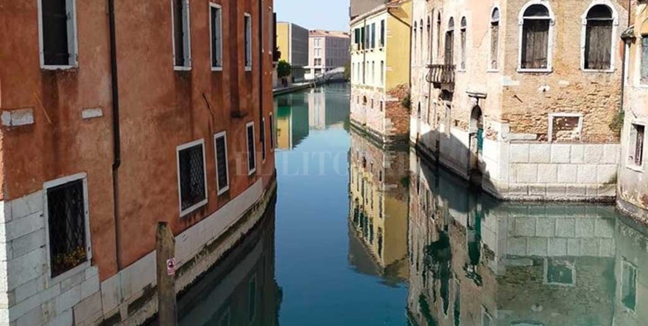 Venecia sin gente, con agua limpia y fauna