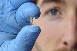 ELLITORAL_360050 |  Télam