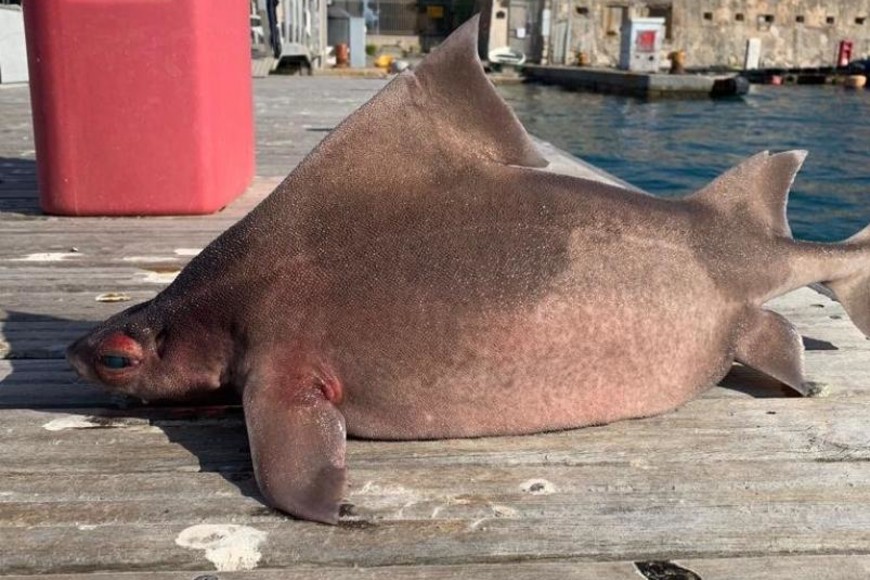 ELLITORAL_403165 |  Gentileza