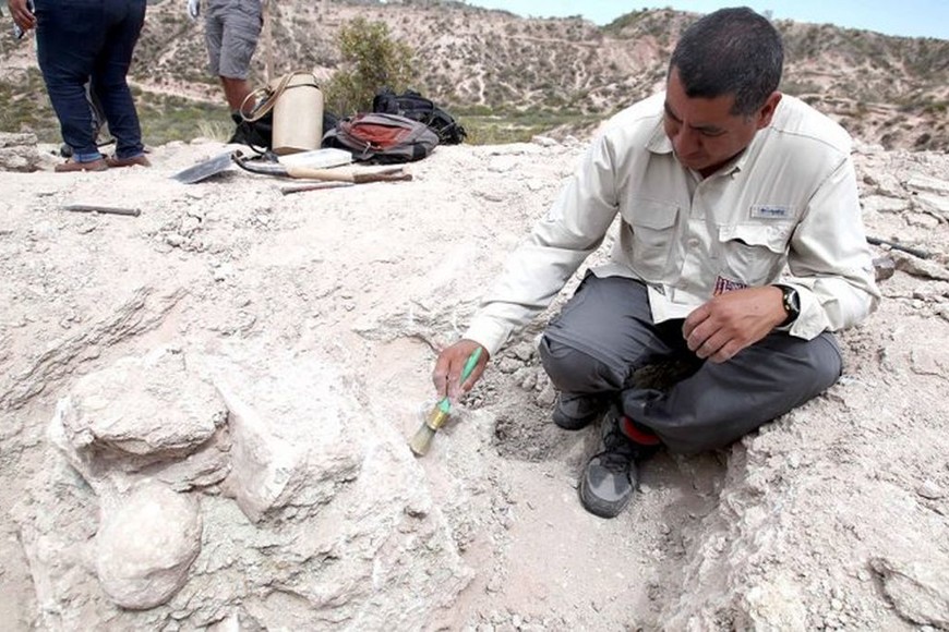 ELLITORAL_272782 |  Gentileza